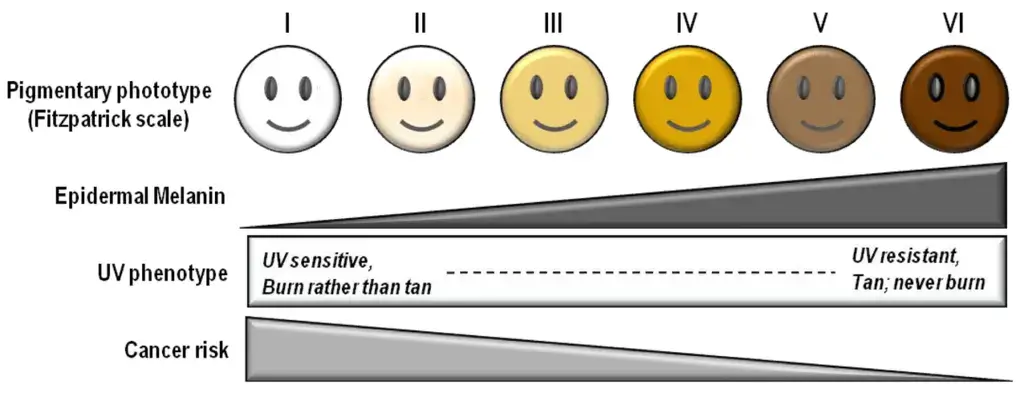 Skin Pigmentation related with Skin Cancer